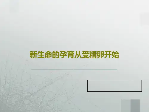新生命的孕育从受精卵开始PPT35页