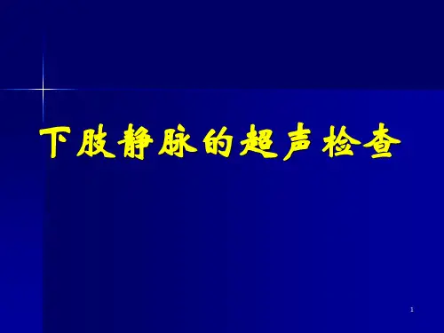 下肢静脉的超声检查参考PPT
