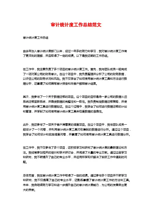 审计统计度工作总结范文