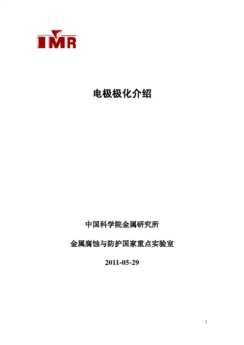 电极极化介绍-20110529