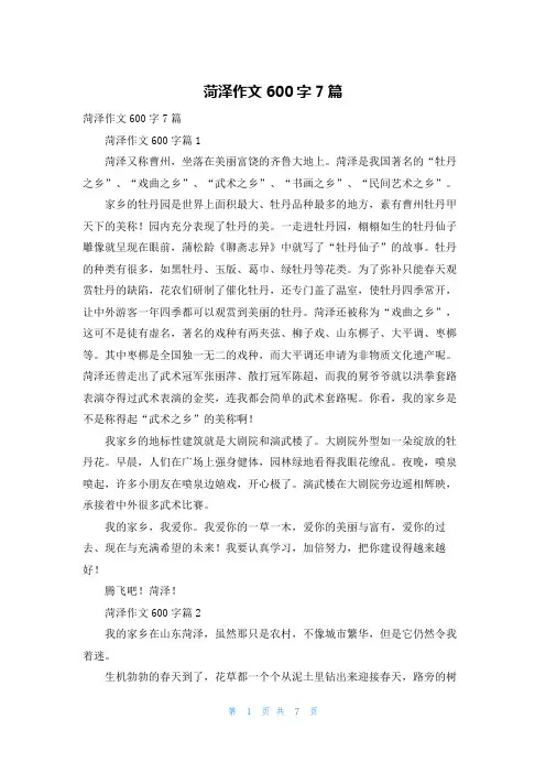 菏泽作文600字7篇