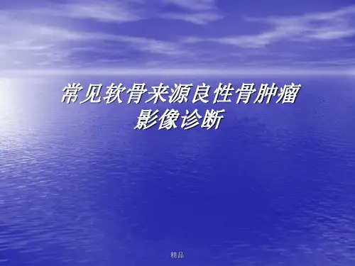 常见软骨来源良性骨肿瘤影像诊断-医学演示课件-精选.ppt