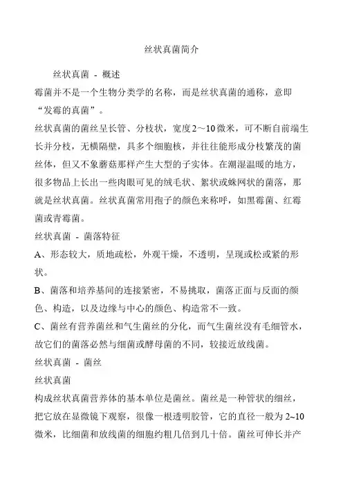 丝状真菌简介