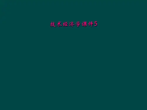 技术经济学课件5