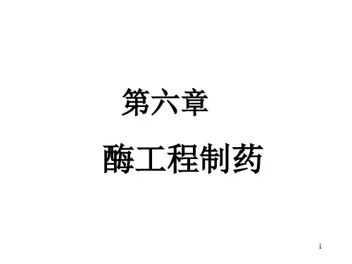 第六章酶工程制药