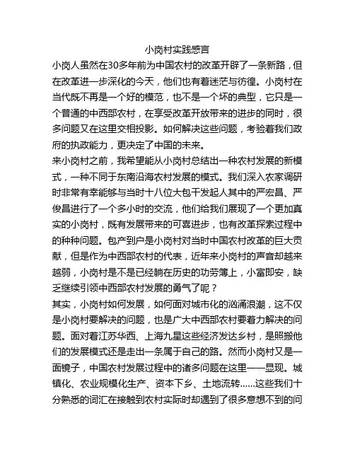 小岗村实践感言