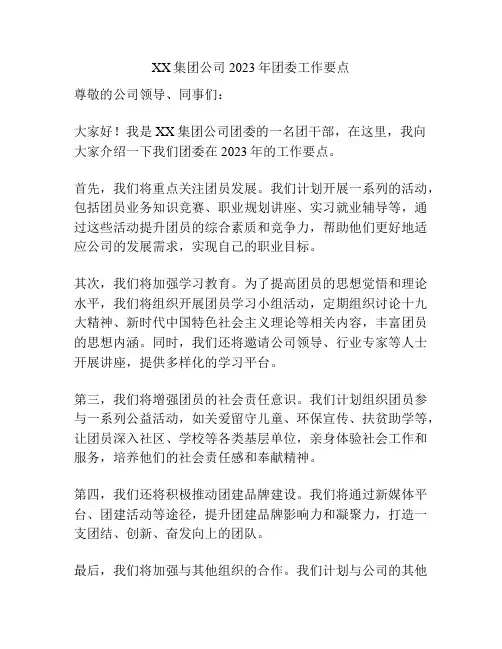 XX集团公司2023年团委工作要点