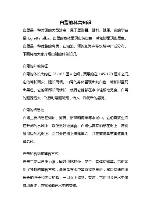 白鹭的科普知识