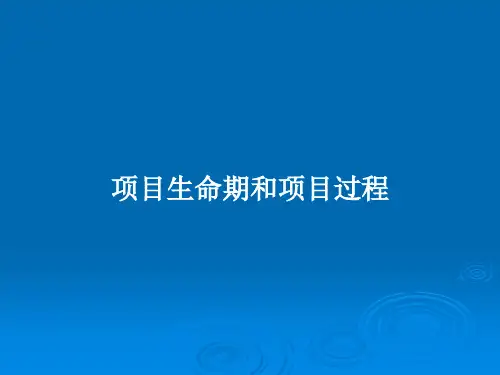 项目生命期和项目过程PPT教案