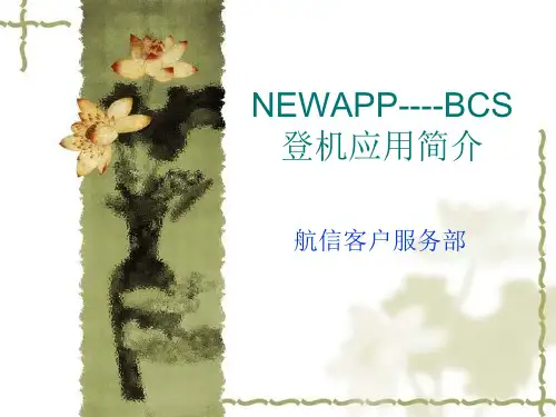 NEWAPP---BCS登机口应用介绍(11ctu)