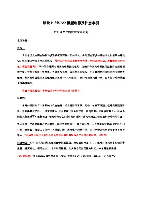 脑缺血MCAO模型制作及注意事项