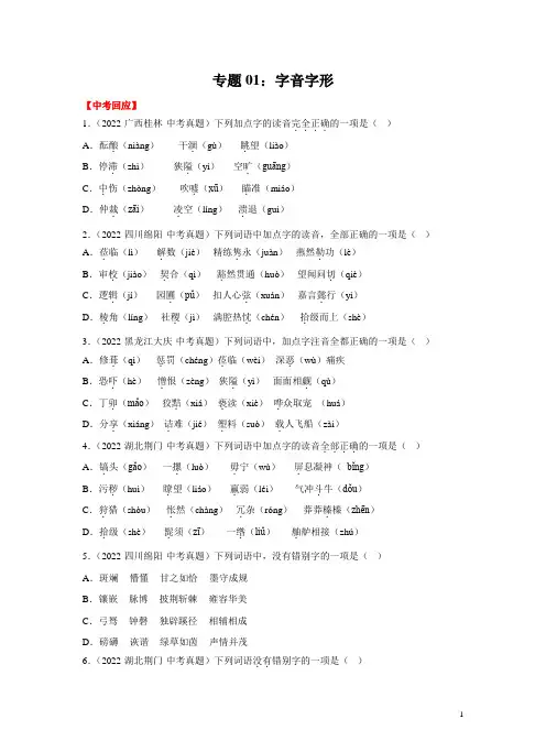 2023年中考语文专题复习01  字音字形 习题(含解析)