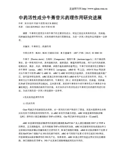 中药活性成分牛蒡苷元药理作用研究进展