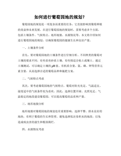 如何进行葡萄园地的规划？