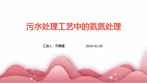 污水处理工艺中的氨氮处理