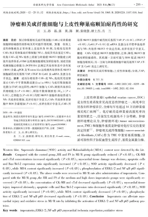 肿瘤相关成纤维细胞与上皮性卵巢癌顺铂耐药性的研究