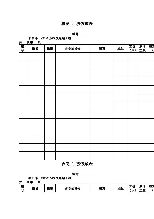 建筑企业农民工工资发放表格式