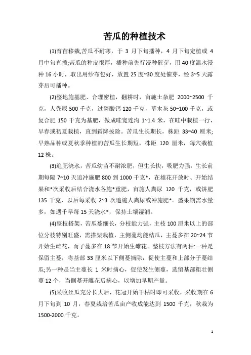 苦瓜的种植技术