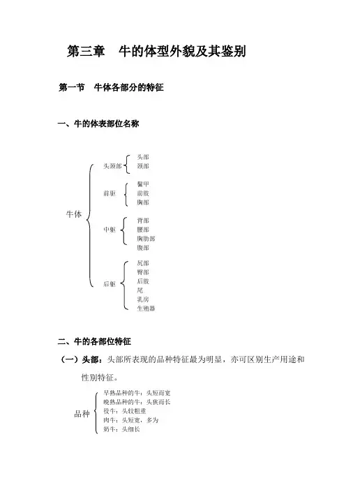 第3章--牛的体型外貌(体尺)及其鉴别资料
