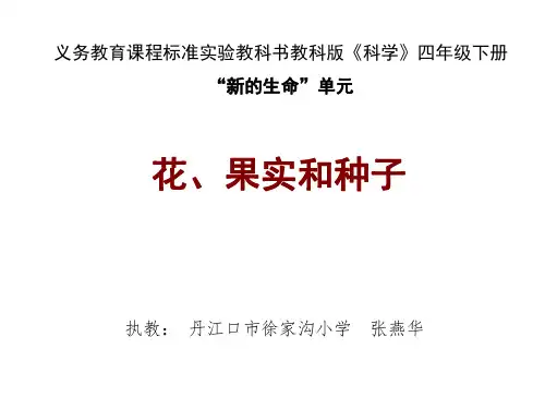 小学科学花、果实和种子