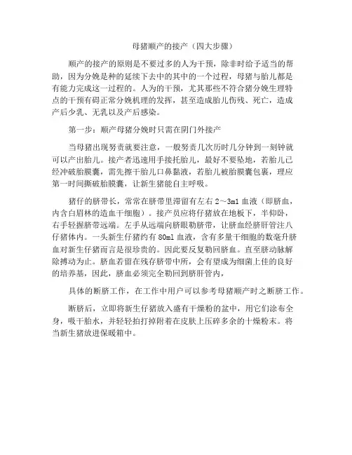 母猪顺产的接产(四大步骤)