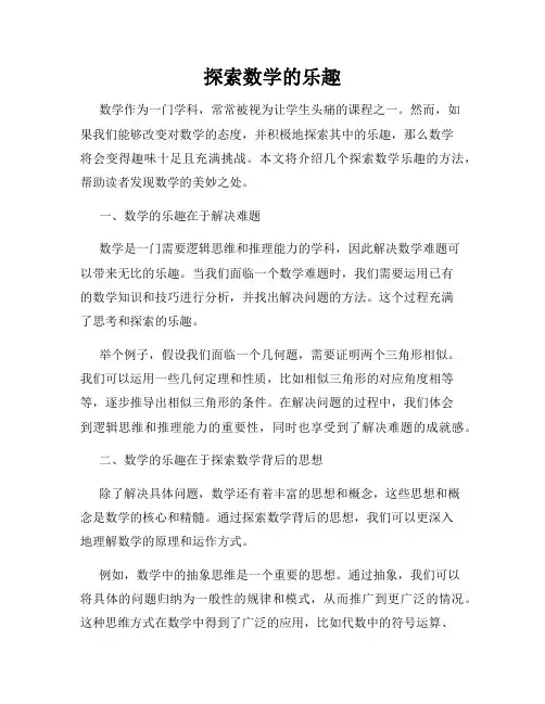 探索数学的乐趣