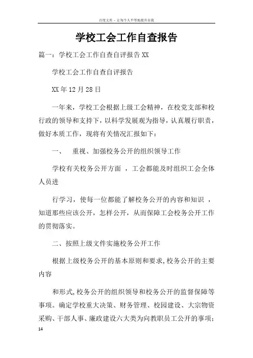 学校工会工作自查报告