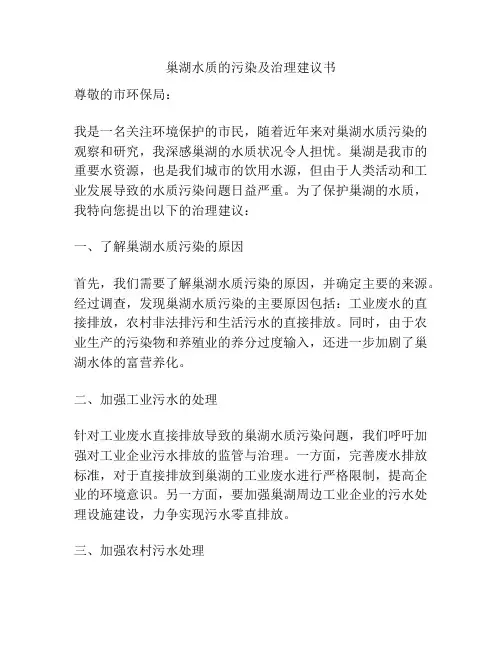 巢湖水质的污染及治理建议书