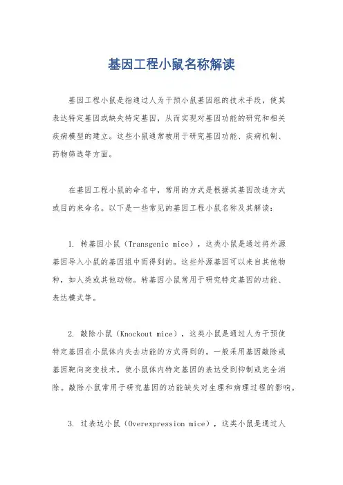 基因工程小鼠名称解读