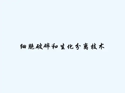 细胞破碎和生化分离技术-PPT