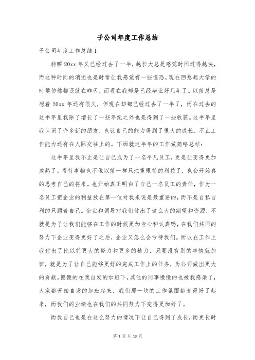 子公司年度工作总结