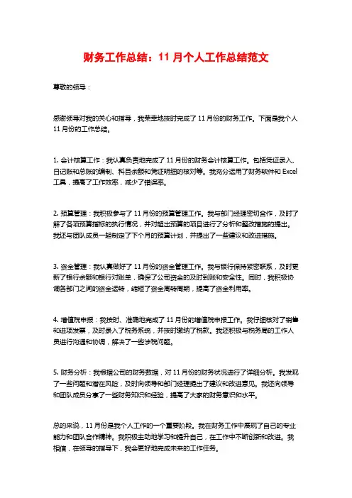 财务工作总结：11月个人工作总结范文