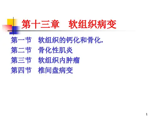 软组织病变PPT
