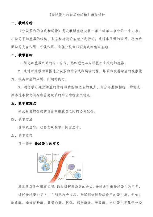 高中生物新人教版教案-分泌蛋白的合成和运输-全国获奖