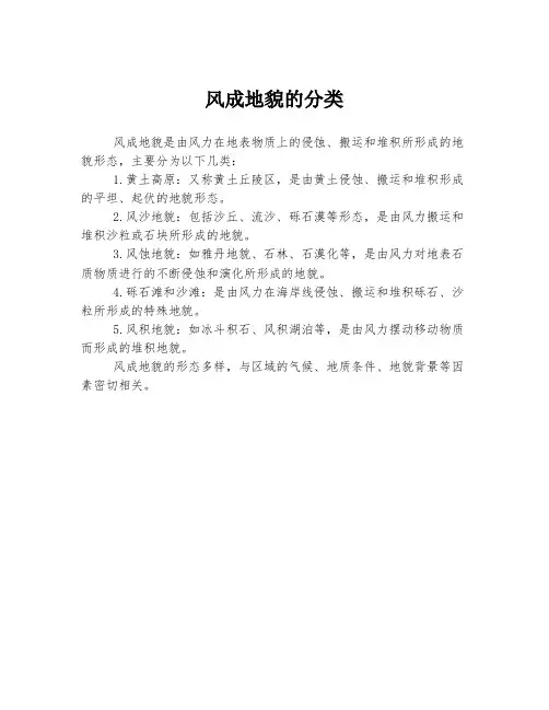 风成地貌的分类