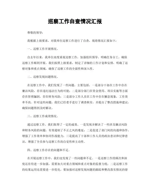 巡察工作自查情况汇报