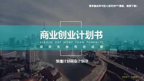 【精品文档】2018-2019年雏鹰计划商业计划书【各行业通用ppt】