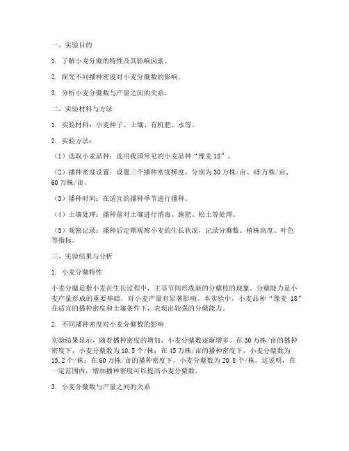 小麦出苗分蘖数实验报告
