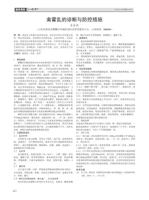 禽霍乱的诊断与防控措施