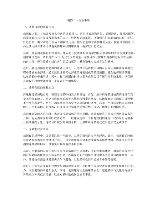 遛猫三大注意事项