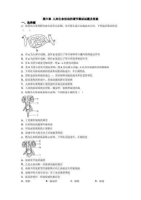 第六章 人体生命活动的调节测试试题及答案