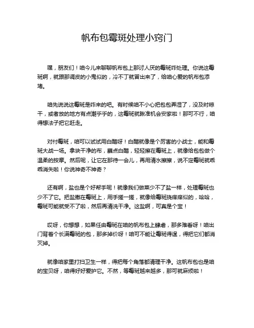 帆布包霉斑处理小窍门
