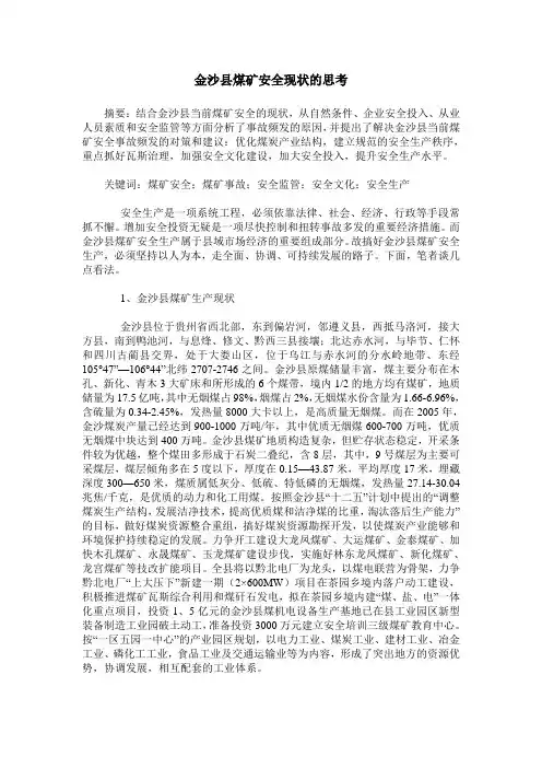 金沙县煤矿安全现状的思考