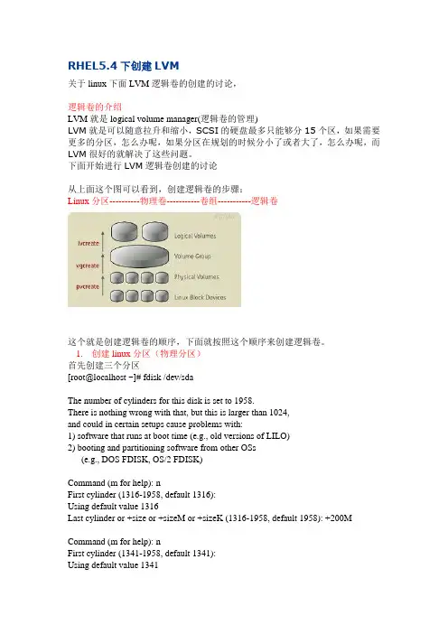 RHEL5.4下创建LVM