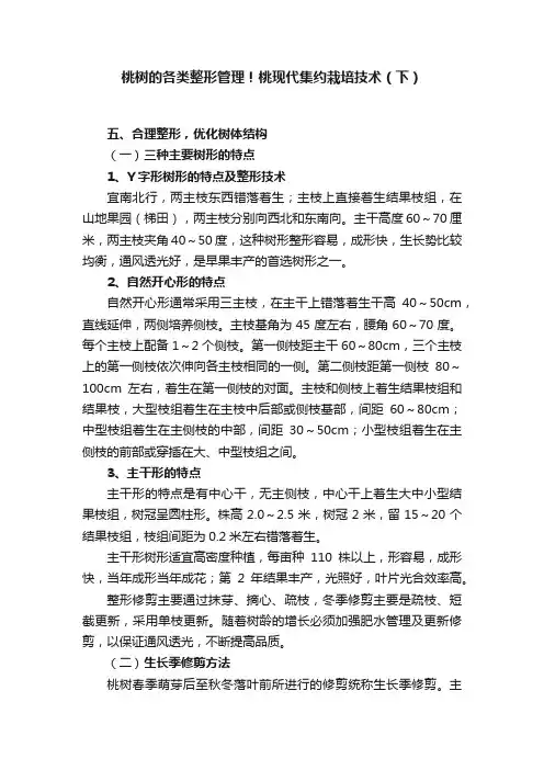 桃树的各类整形管理！桃现代集约栽培技术（下）