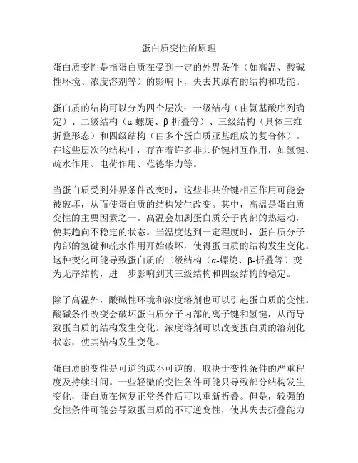 蛋白质变性的原理
