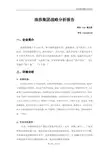 浪莎集团战略选择分析报告