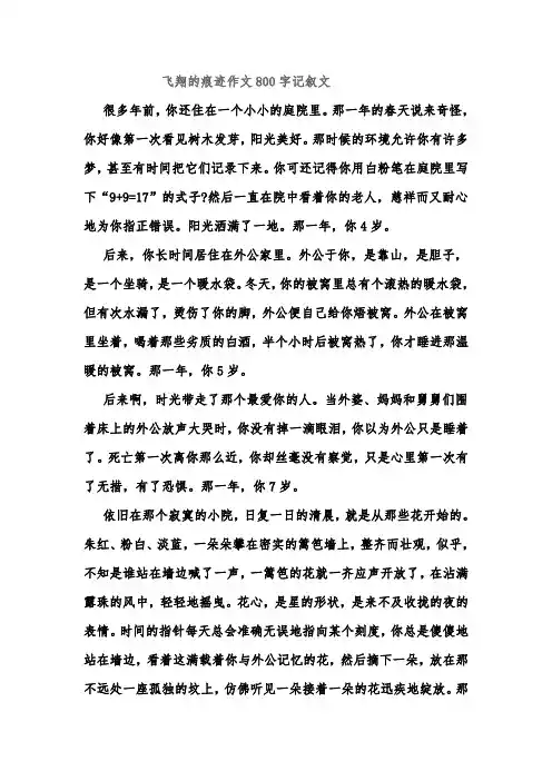 飞翔的痕迹作文800字记叙文