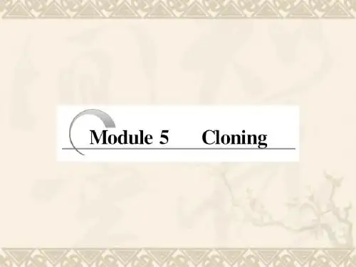 高考英语一轮复习【精品教学】Modules 1~6  Module 5课件 外研版选修6