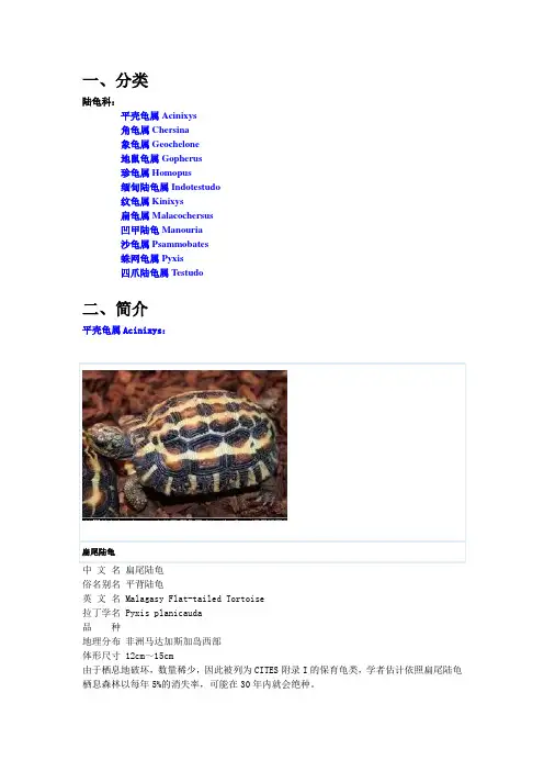 陆龟分类及简介(超细、超全)